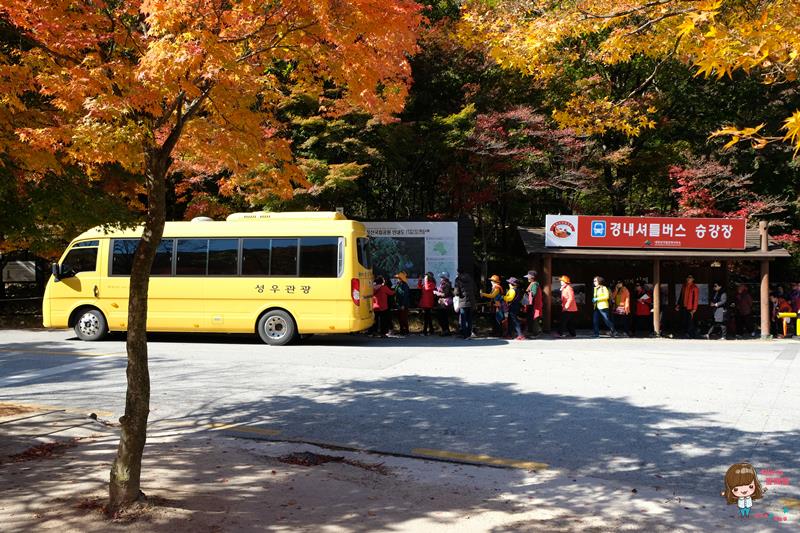 韓國內藏山國立公園楓葉｜一日遊交通推薦：瑰麗火紅楓葉美景 @Alina 愛琳娜
