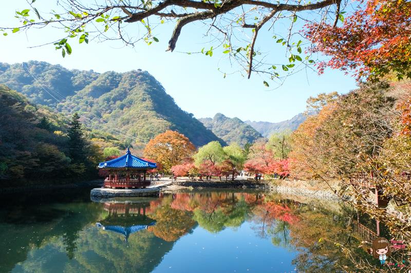 韓國內藏山國立公園楓葉｜一日遊交通推薦：瑰麗火紅楓葉美景 @Alina 愛琳娜