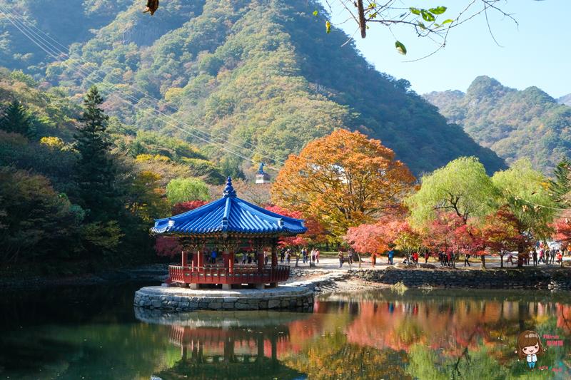 韓國內藏山國立公園楓葉｜一日遊交通推薦：瑰麗火紅楓葉美景 @Alina 愛琳娜