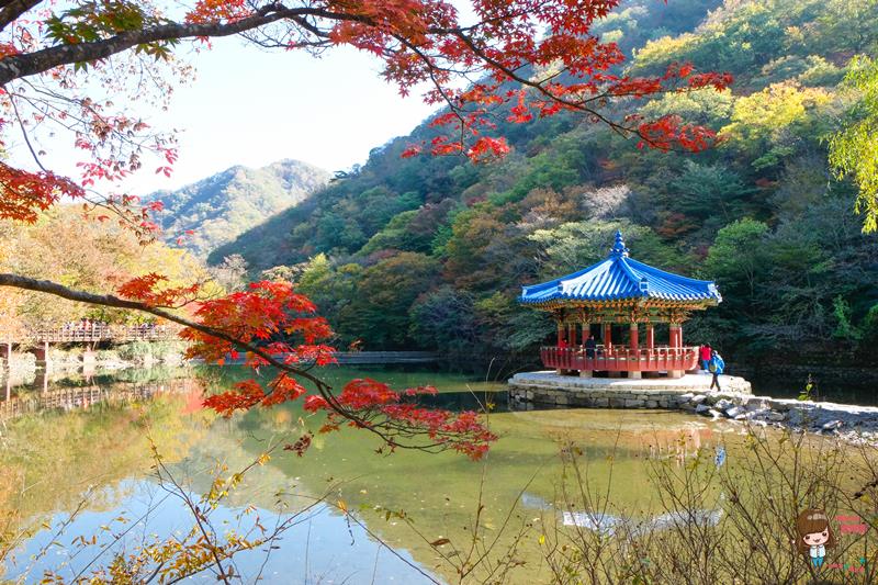 韓國內藏山國立公園楓葉｜一日遊交通推薦：瑰麗火紅楓葉美景 @Alina 愛琳娜