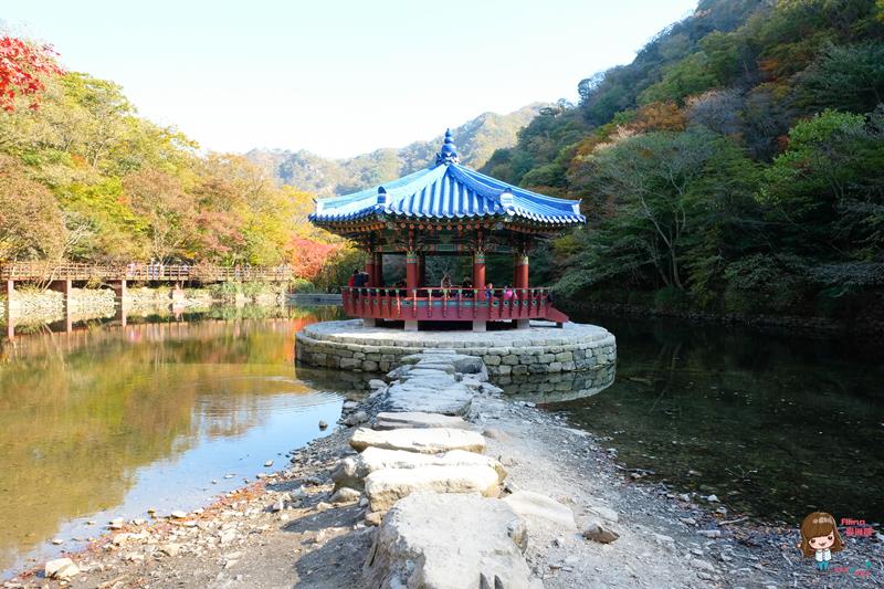 韓國內藏山國立公園楓葉｜一日遊交通推薦：瑰麗火紅楓葉美景 @Alina 愛琳娜
