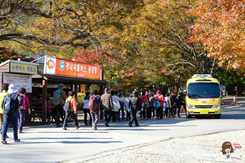 韓國內藏山國立公園楓葉｜一日遊交通推薦：瑰麗火紅楓葉美景 @Alina 愛琳娜