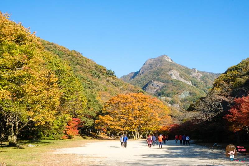 韓國內藏山國立公園楓葉｜一日遊交通推薦：瑰麗火紅楓葉美景 @Alina 愛琳娜