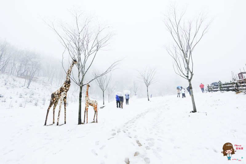 【韓國一日遊】韓國滑雪一日團 雪兜場滑雪好刺激 草莓農場現採現吃 @Alina 愛琳娜 【韓國一日遊】韓國滑雪一日團 雪兜場滑雪好刺激 草莓農場現採現吃 @Alina 愛琳娜