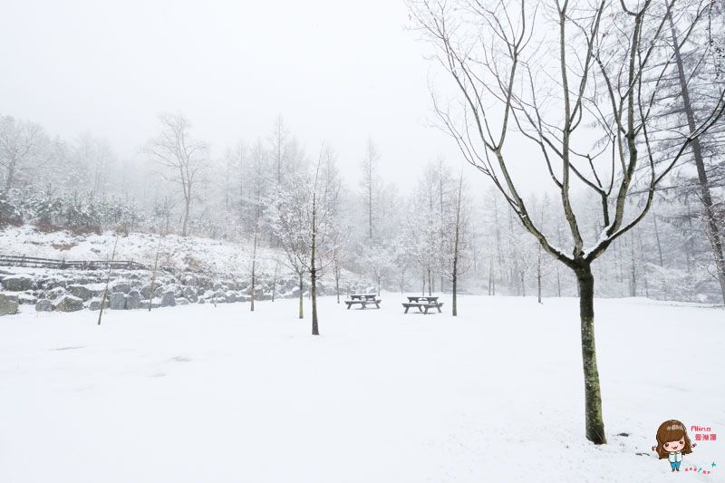 【韓國一日遊】韓國滑雪一日團 雪兜場滑雪好刺激 草莓農場現採現吃 @Alina 愛琳娜 【韓國一日遊】韓國滑雪一日團 雪兜場滑雪好刺激 草莓農場現採現吃 @Alina 愛琳娜