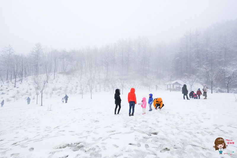 【韓國一日遊】韓國滑雪一日團 雪兜場滑雪好刺激 草莓農場現採現吃 @Alina 愛琳娜 【韓國一日遊】韓國滑雪一日團 雪兜場滑雪好刺激 草莓農場現採現吃 @Alina 愛琳娜