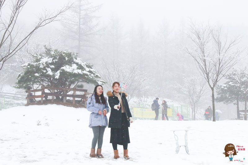 【韓國一日遊】韓國滑雪一日團 雪兜場滑雪好刺激 草莓農場現採現吃 @Alina 愛琳娜 【韓國一日遊】韓國滑雪一日團 雪兜場滑雪好刺激 草莓農場現採現吃 @Alina 愛琳娜