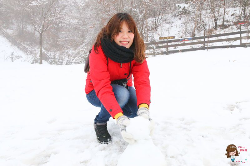【韓國一日遊】韓國滑雪一日團 雪兜場滑雪好刺激 草莓農場現採現吃 @Alina 愛琳娜 【韓國一日遊】韓國滑雪一日團 雪兜場滑雪好刺激 草莓農場現採現吃 @Alina 愛琳娜