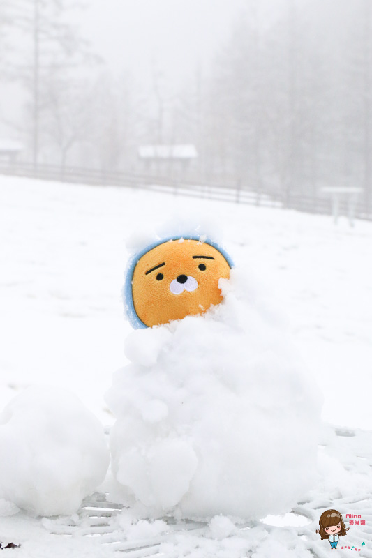 【韓國一日遊】韓國滑雪一日團 雪兜場滑雪好刺激 草莓農場現採現吃 @Alina 愛琳娜 【韓國一日遊】韓國滑雪一日團 雪兜場滑雪好刺激 草莓農場現採現吃 @Alina 愛琳娜