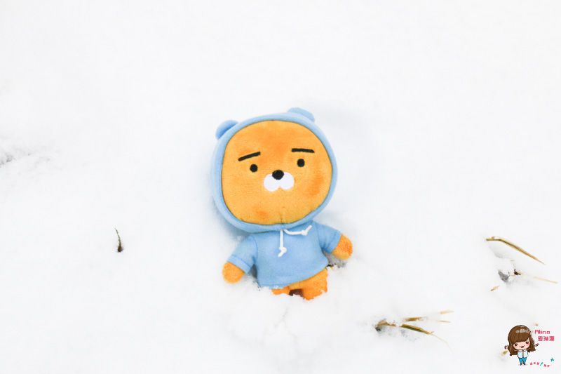 【韓國一日遊】韓國滑雪一日團 雪兜場滑雪好刺激 草莓農場現採現吃 @Alina 愛琳娜 【韓國一日遊】韓國滑雪一日團 雪兜場滑雪好刺激 草莓農場現採現吃 @Alina 愛琳娜