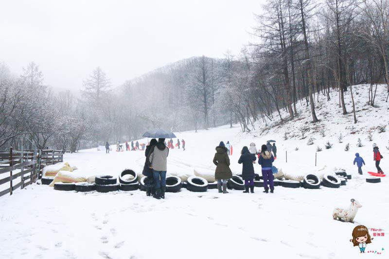 【韓國一日遊】韓國滑雪一日團 雪兜場滑雪好刺激 草莓農場現採現吃 @Alina 愛琳娜