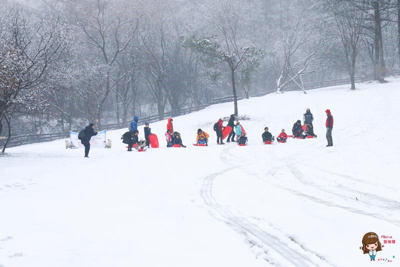 【韓國一日遊】韓國滑雪一日團 雪兜場滑雪好刺激 草莓農場現採現吃 @Alina 愛琳娜 【韓國一日遊】韓國滑雪一日團 雪兜場滑雪好刺激 草莓農場現採現吃 @Alina 愛琳娜
