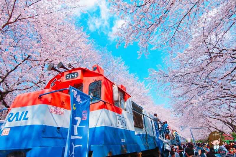 韓國自由行》韓國自助旅遊攻略：首爾、濟州島、釜山3大城市 @Alina 愛琳娜