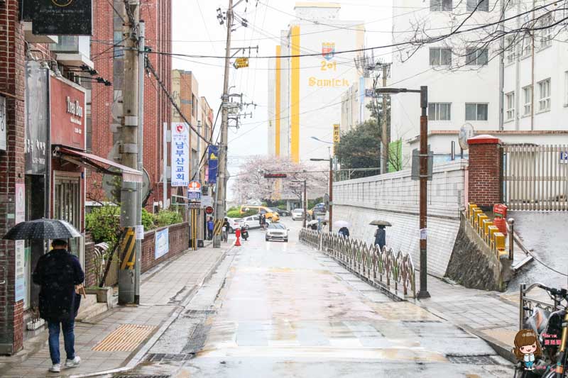 【釜山景點】南川洞櫻花路｜金蓮山櫻花大道，漫步櫻花秘境 @Alina 愛琳娜