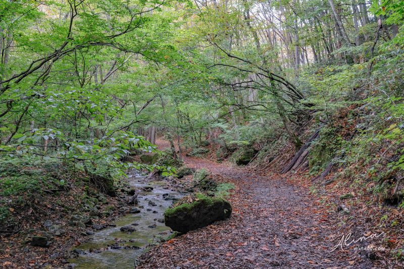 【東北福島景點】猪苗代-達澤不動瀑布(達沢不動滝)銀色閃亮水幕成色 @Alina 愛琳娜 【東北福島景點】猪苗代-達澤不動瀑布(達沢不動滝)銀色閃亮水幕成色 @Alina 愛琳娜