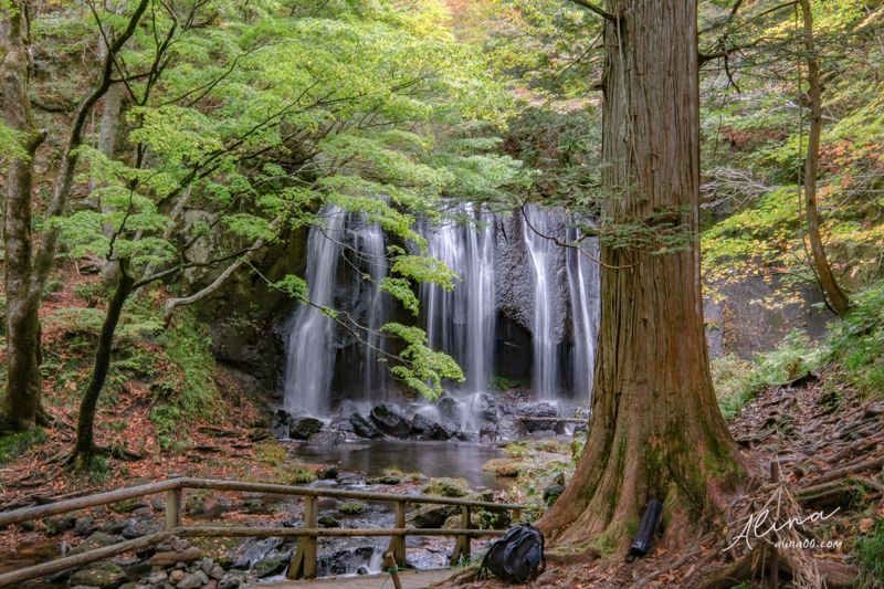 【東北福島景點】猪苗代-達澤不動瀑布(達沢不動滝)銀色閃亮水幕成色 @Alina 愛琳娜 【東北福島景點】猪苗代-達澤不動瀑布(達沢不動滝)銀色閃亮水幕成色 @Alina 愛琳娜