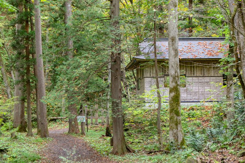 【東北福島景點】猪苗代-達澤不動瀑布(達沢不動滝)銀色閃亮水幕成色 @Alina 愛琳娜 【東北福島景點】猪苗代-達澤不動瀑布(達沢不動滝)銀色閃亮水幕成色 @Alina 愛琳娜