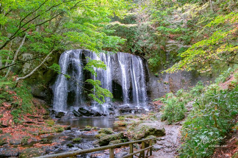 【東北福島景點】猪苗代-達澤不動瀑布(達沢不動滝)銀色閃亮水幕成色 @Alina 愛琳娜 【東北福島景點】猪苗代-達澤不動瀑布(達沢不動滝)銀色閃亮水幕成色 @Alina 愛琳娜