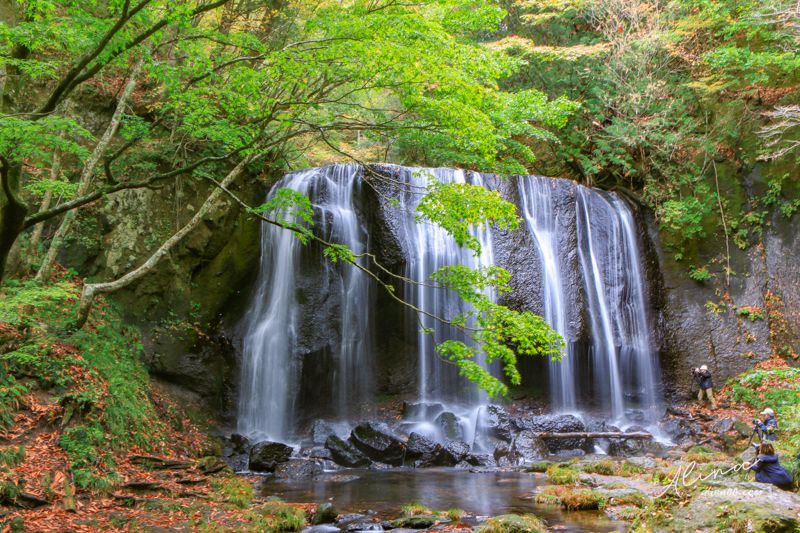 【東北福島景點】猪苗代-達澤不動瀑布(達沢不動滝)銀色閃亮水幕成色 @Alina 愛琳娜 【東北福島景點】猪苗代-達澤不動瀑布(達沢不動滝)銀色閃亮水幕成色 @Alina 愛琳娜