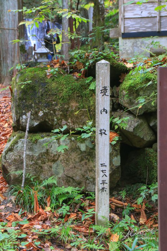 【東北福島景點】猪苗代-達澤不動瀑布(達沢不動滝)銀色閃亮水幕成色 @Alina 愛琳娜 【東北福島景點】猪苗代-達澤不動瀑布(達沢不動滝)銀色閃亮水幕成色 @Alina 愛琳娜