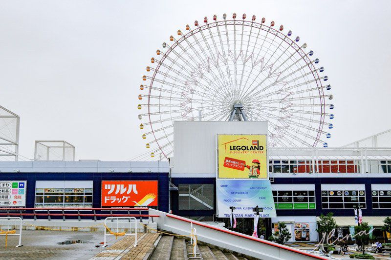 【大阪景點】大阪海遊館-可愛好玩的海洋水族館,海豹超療癒 @Alina 愛琳娜