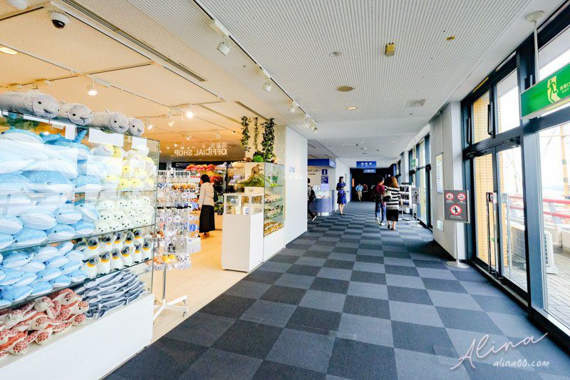【大阪景點】大阪海遊館-可愛好玩的海洋水族館,海豹超療癒 @Alina 愛琳娜