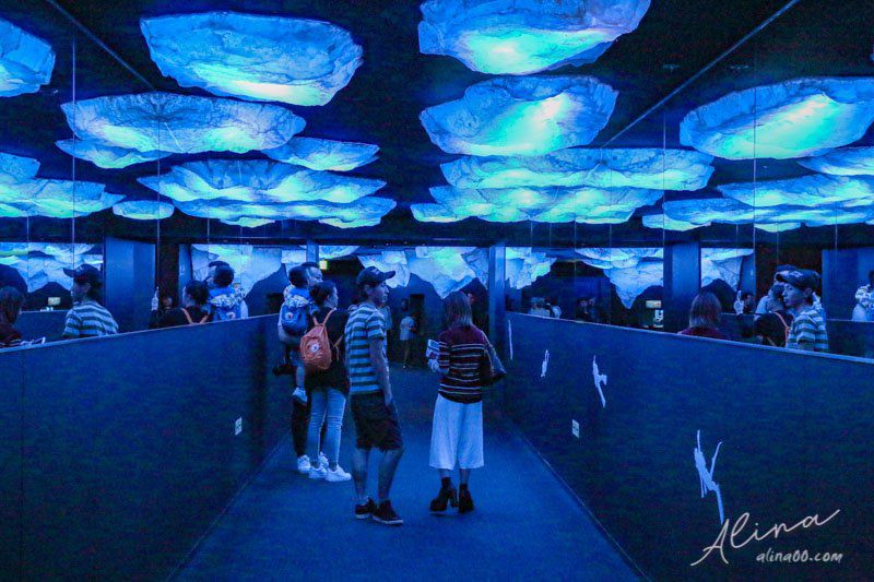 【大阪景點】大阪海遊館-可愛好玩的海洋水族館,海豹超療癒 @Alina 愛琳娜