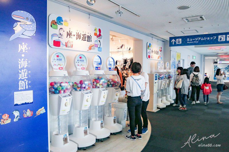 【大阪景點】大阪海遊館-可愛好玩的海洋水族館,海豹超療癒 @Alina 愛琳娜