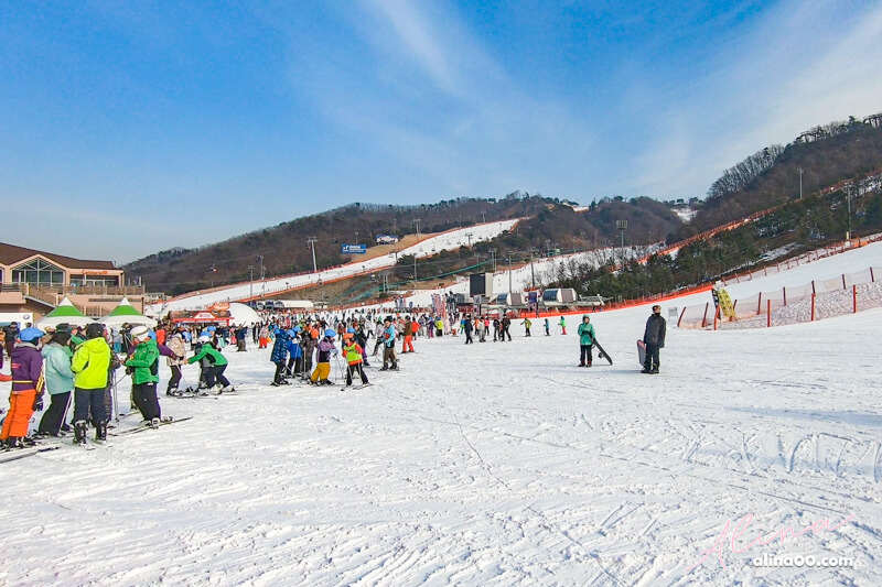 【韓國滑雪】韓國滑雪 一日遊去洪川大明滑雪村，教學裝備全包 @Alina 愛琳娜