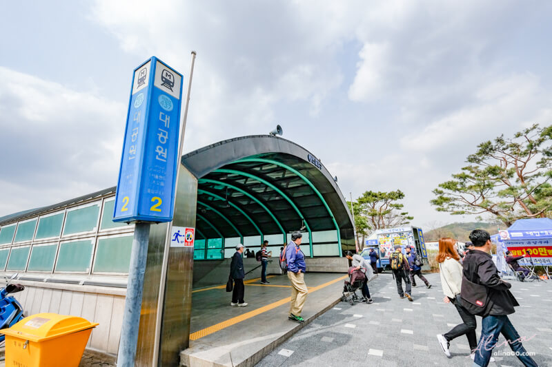 首爾大公園|首爾樂園+動物園適合親子遊玩,春天是櫻花景點 @Alina 愛琳娜 首爾大公園|首爾樂園+動物園適合親子遊玩,春天是櫻花景點 @Alina 愛琳娜
