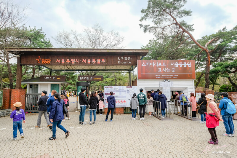 首爾大公園｜首爾樂園+動物園適合親子遊玩，春天是櫻花景點 @Alina 愛琳娜