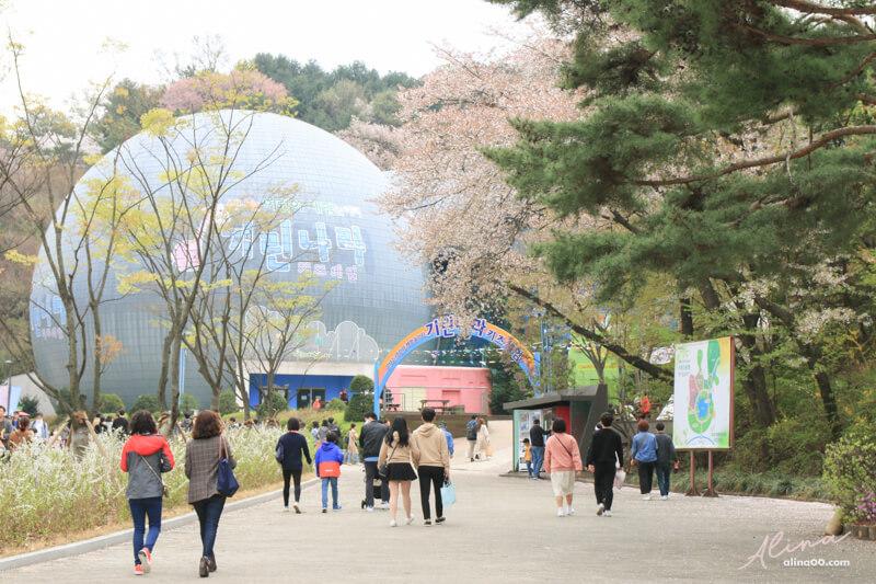 首爾大公園|首爾樂園+動物園適合親子遊玩,春天是櫻花景點 @Alina 愛琳娜 首爾大公園|首爾樂園+動物園適合親子遊玩,春天是櫻花景點 @Alina 愛琳娜
