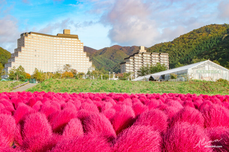 【福島住宿推薦】豬苗代利時達酒店-東北豬苗代湖景,可愛龍貓掃帚草 @Alina 愛琳娜 【福島住宿推薦】豬苗代利時達酒店-東北豬苗代湖景,可愛龍貓掃帚草 @Alina 愛琳娜