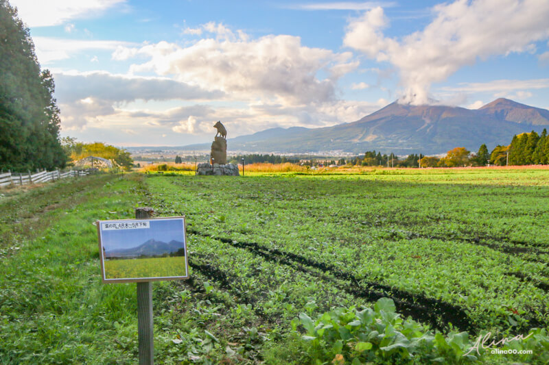 【福島住宿推薦】豬苗代利時達酒店-東北豬苗代湖景,可愛龍貓掃帚草 @Alina 愛琳娜