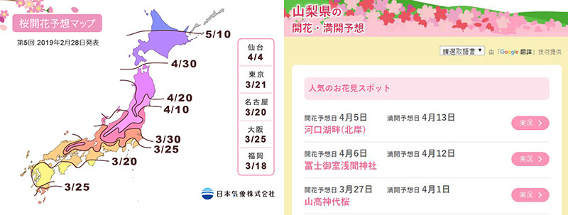 【日本景點】富士山 河口湖 交通一日游攻略，富士山櫻花景點推薦 @Alina 愛琳娜
