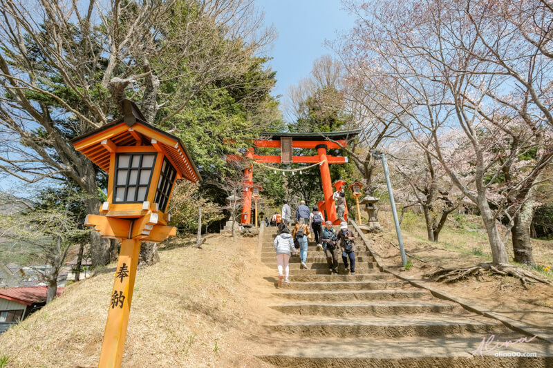 【日本景點】新倉富士淺間神社｜富士山櫻花交通、新倉山淺間公園 @Alina 愛琳娜