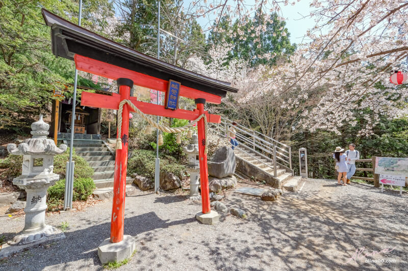 【日本景點】新倉富士淺間神社｜富士山櫻花交通、新倉山淺間公園 @Alina 愛琳娜