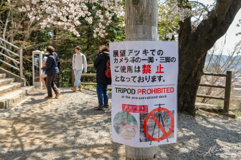 【日本景點】新倉富士淺間神社｜富士山櫻花交通、新倉山淺間公園 @Alina 愛琳娜