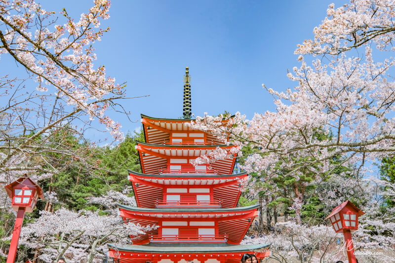 【日本景點】新倉富士淺間神社｜富士山櫻花交通、新倉山淺間公園 @Alina 愛琳娜