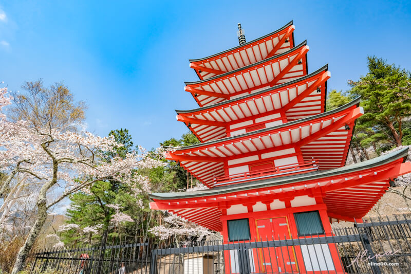 【日本景點】新倉富士淺間神社｜富士山櫻花交通、新倉山淺間公園 @Alina 愛琳娜