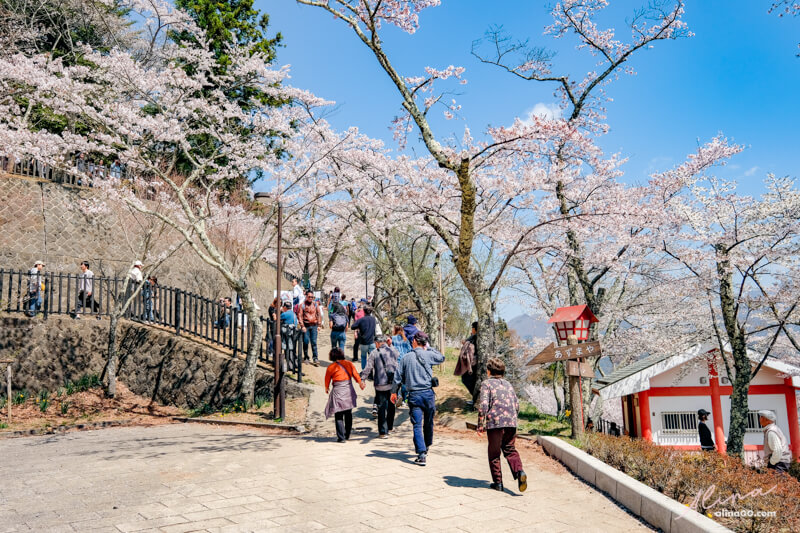 【日本景點】新倉富士淺間神社｜富士山櫻花交通、新倉山淺間公園 @Alina 愛琳娜