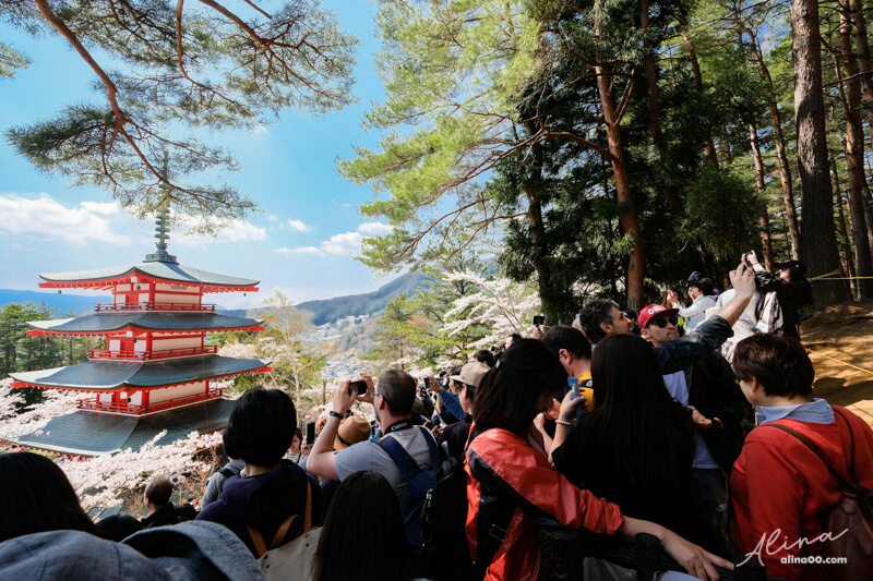 【日本景點】新倉富士淺間神社｜富士山櫻花交通、新倉山淺間公園 @Alina 愛琳娜