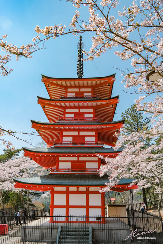 【日本景點】新倉富士淺間神社｜富士山櫻花交通、新倉山淺間公園 @Alina 愛琳娜