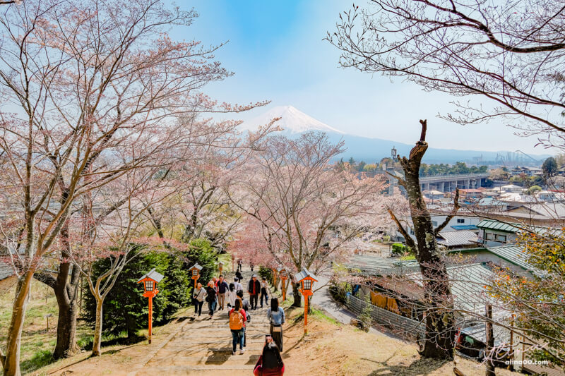 【日本景點】新倉富士淺間神社｜富士山櫻花交通、新倉山淺間公園 @Alina 愛琳娜