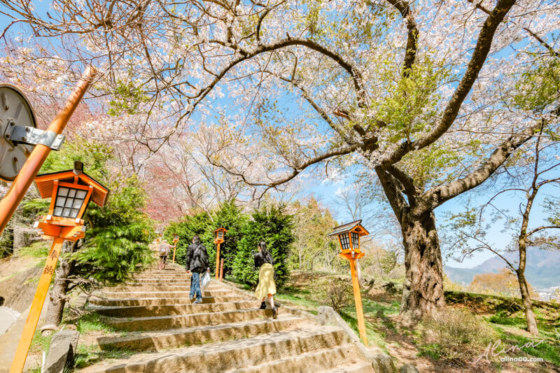 【日本景點】新倉富士淺間神社｜富士山櫻花交通、新倉山淺間公園 @Alina 愛琳娜