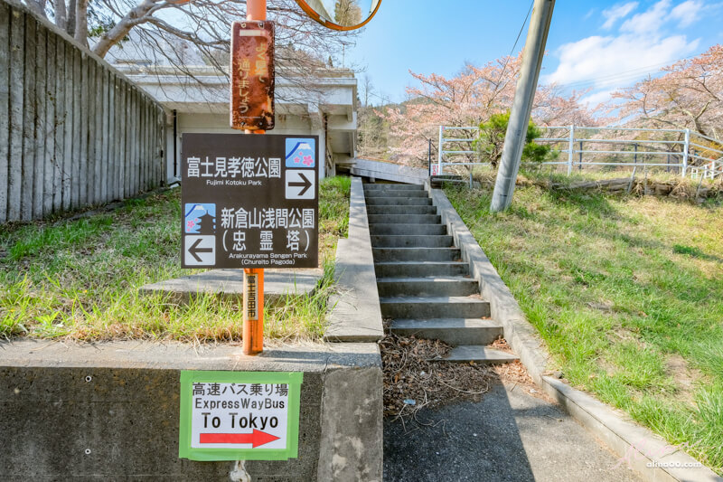 【日本景點】新倉富士淺間神社｜富士山櫻花交通、新倉山淺間公園 @Alina 愛琳娜