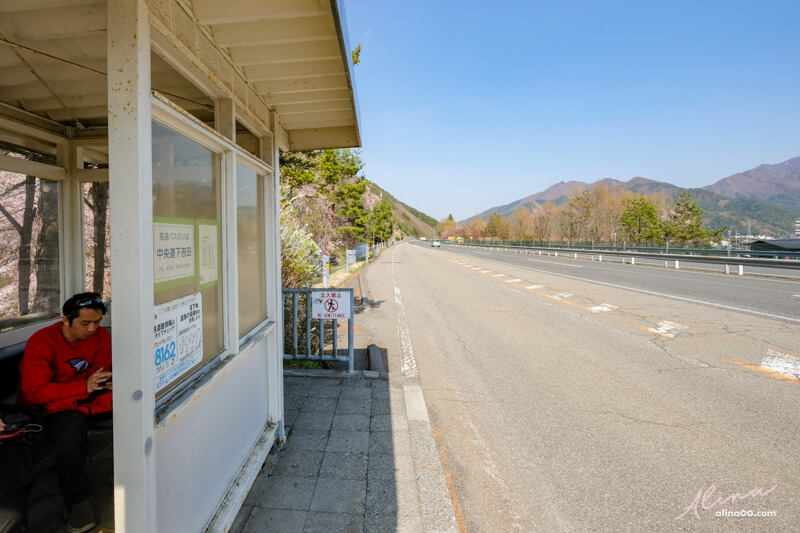 【日本景點】新倉富士淺間神社｜富士山櫻花交通、新倉山淺間公園 @Alina 愛琳娜