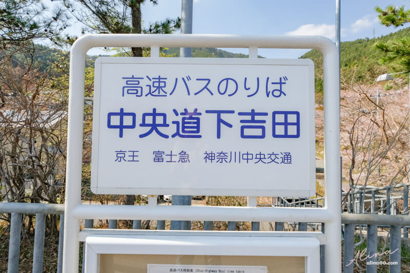 【日本景點】新倉富士淺間神社｜富士山櫻花交通、新倉山淺間公園 @Alina 愛琳娜