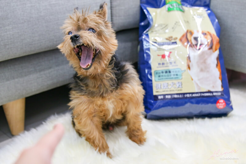 【狗飼料】寶多福健康犬餐熟齡小型犬,寵物食品推薦 @Alina 愛琳娜 【狗飼料】寶多福健康犬餐熟齡小型犬,寵物食品推薦 @Alina 愛琳娜