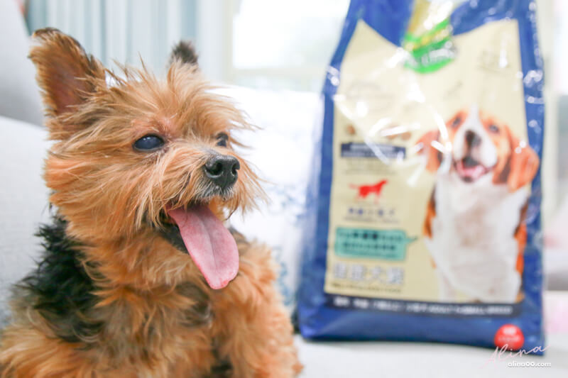 【狗飼料】寶多福健康犬餐熟齡小型犬，寵物食品推薦 @Alina 愛琳娜